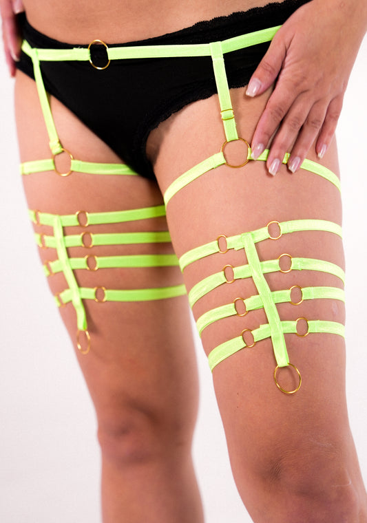 Coloured Garter, Harness for legs