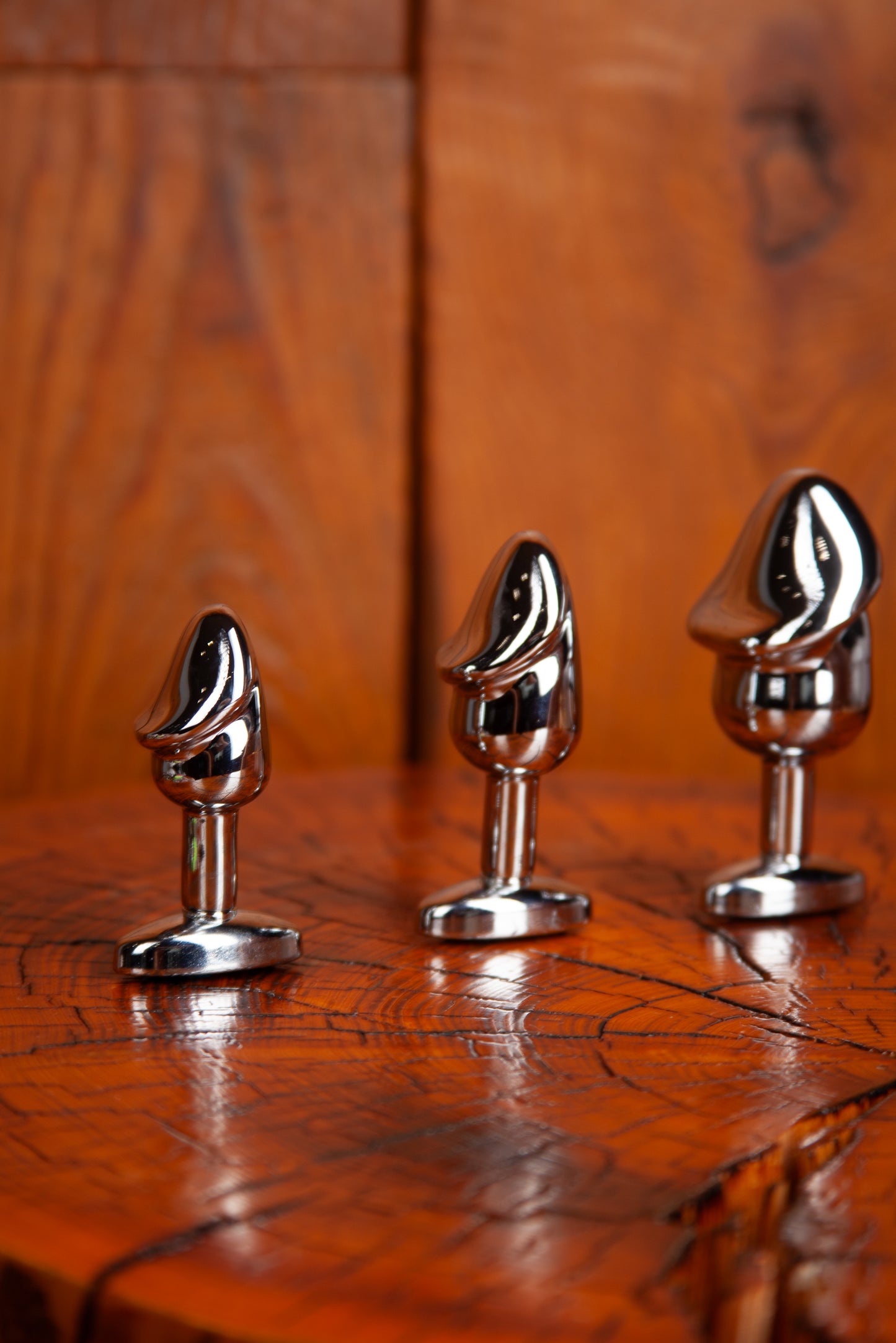 Set of Penis-Shaped Anal Plugs, 3 pieces, different sizes